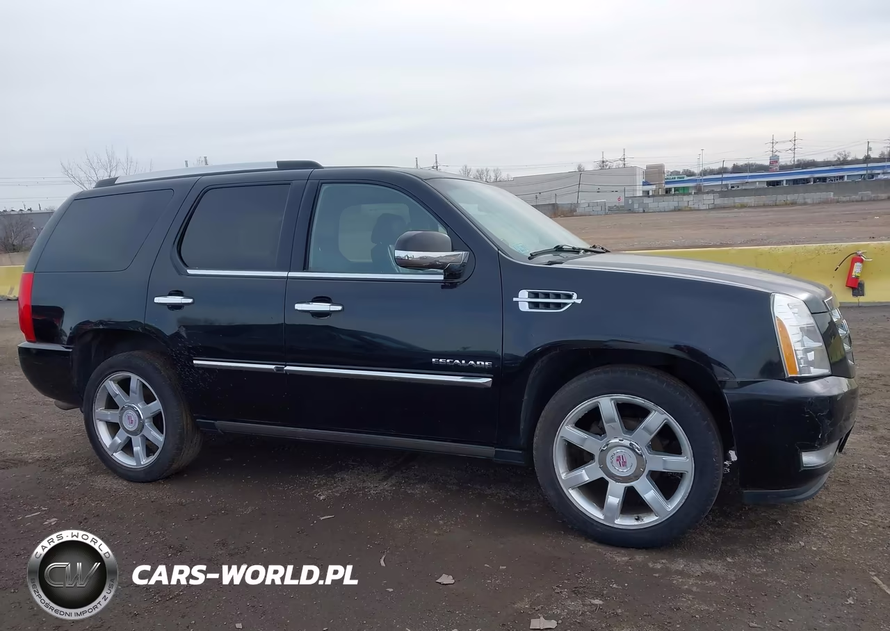 2012 Cadillac Escalade Luxury VIN:1GYS4BEF8CR187701 - 13