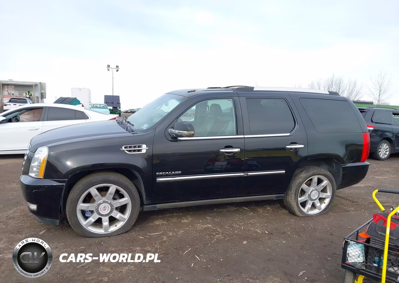 2012 Cadillac Escalade Luxury VIN:1GYS4BEF8CR187701 - 14