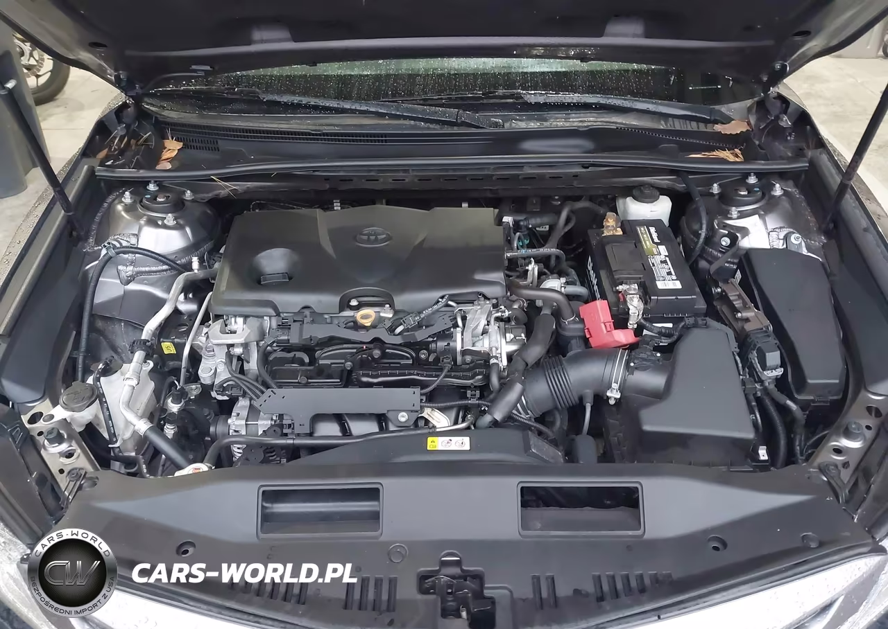 2019 Toyota Camry Se VIN:4T1B11HKXKU293768 - 10