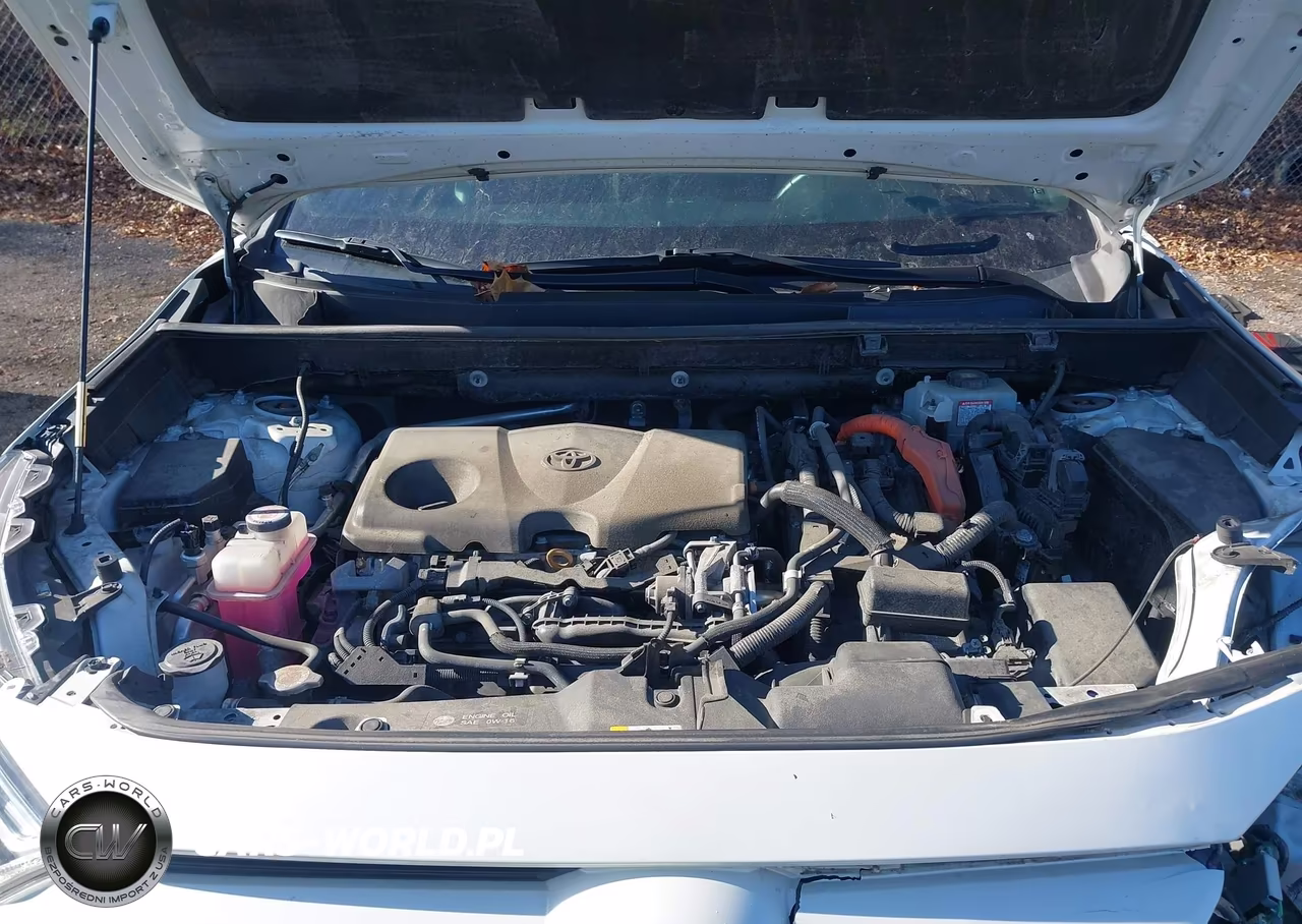 2019 Toyota Rav4 Hybrid Xse VIN:2T3EWRFV5KW041931 - 10