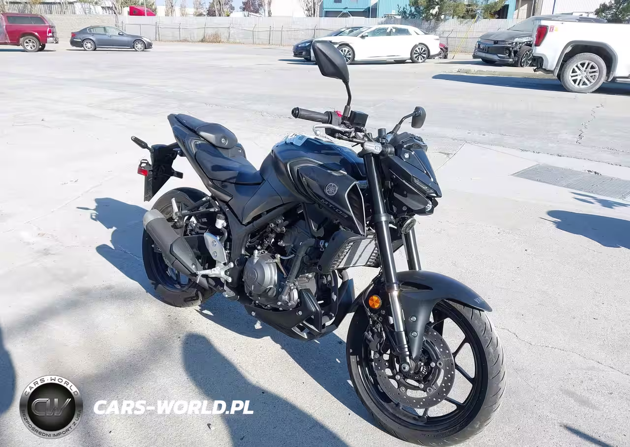 2025 Yamaha Mtn320 Ac