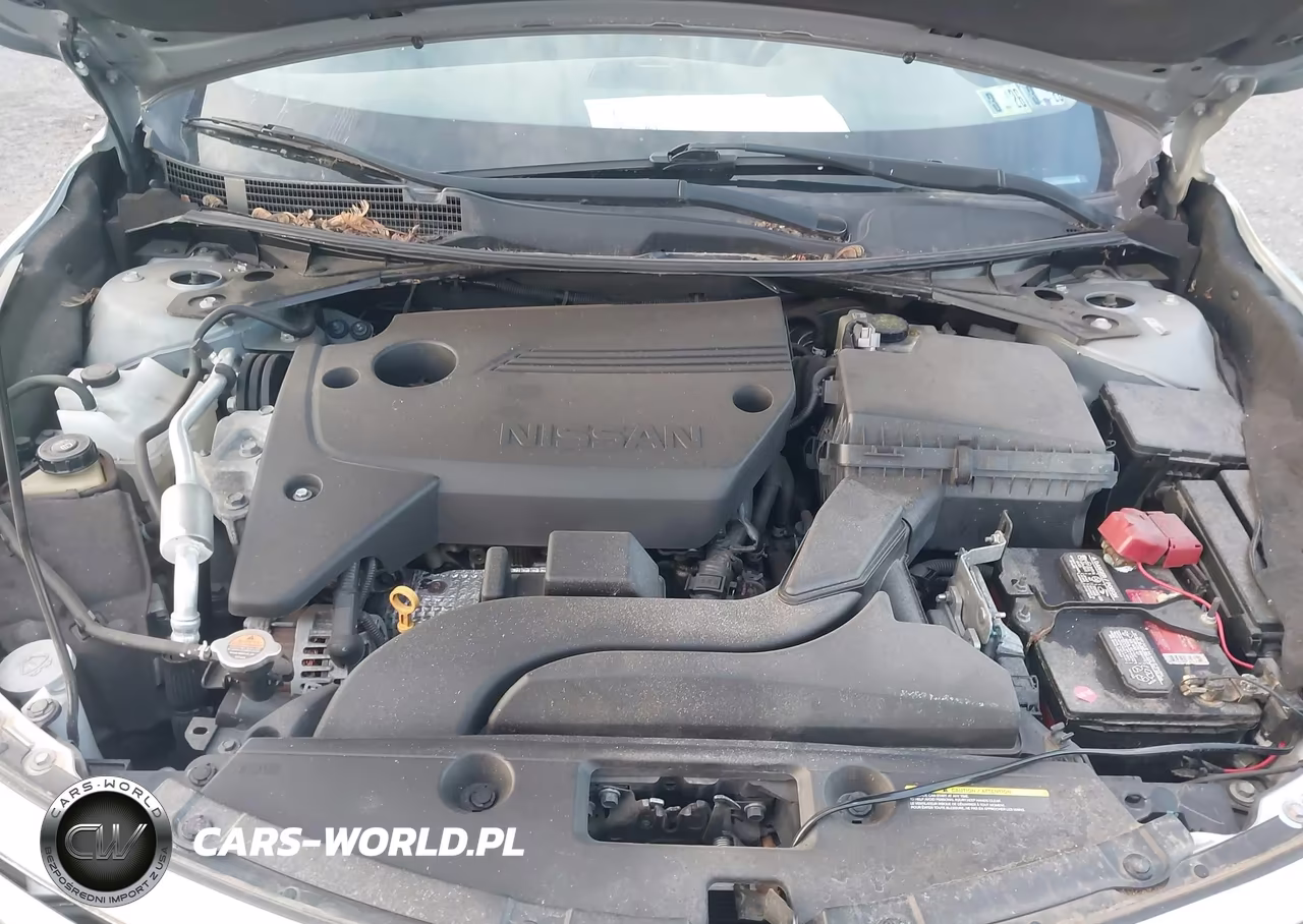 2015 Nissan Altima 2.5 Sl VIN:1N4AL3AP3FN917377 - 10