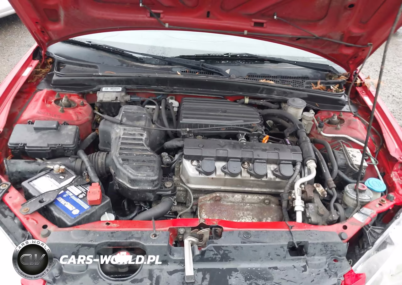 2004 Honda Civic Ex VIN:1HGEM21994L026802 - 10