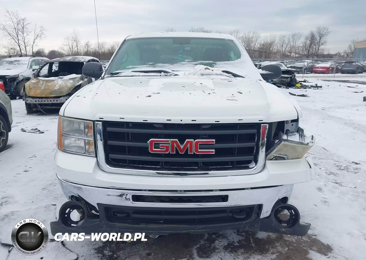 2010 GMC Sierra 1500 Work Truck VIN:1GTPCTEX7AZ296371 - 12