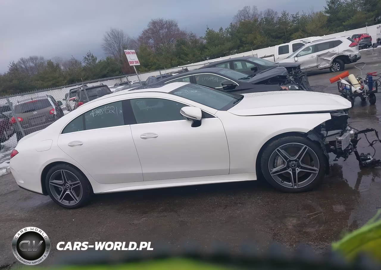 2019 Mercedes-Benz Cls 450 4Matic VIN:WDD2J5KB7KA038412 - 14