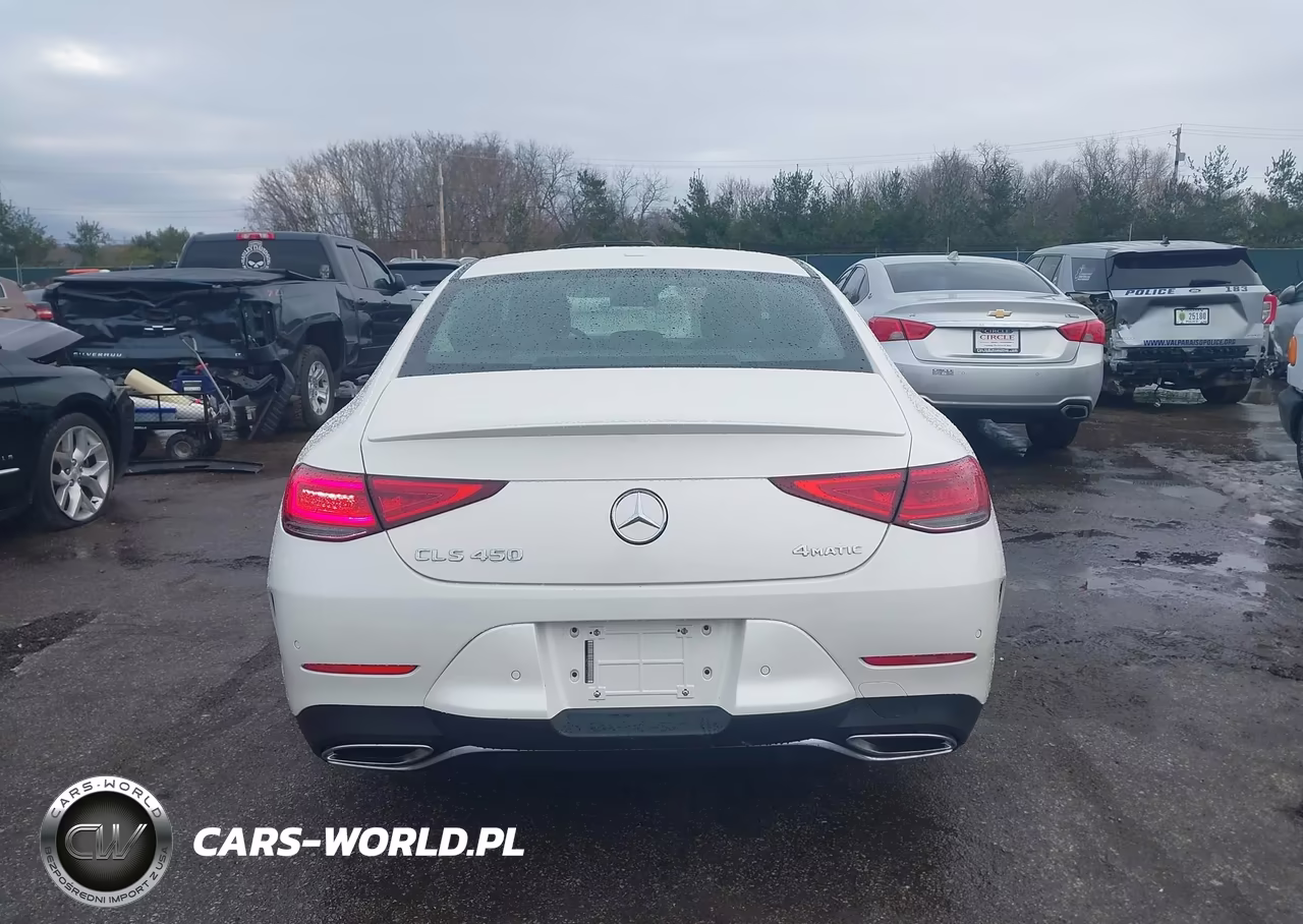 2019 Mercedes-Benz Cls 450 4Matic VIN:WDD2J5KB7KA038412 - 17