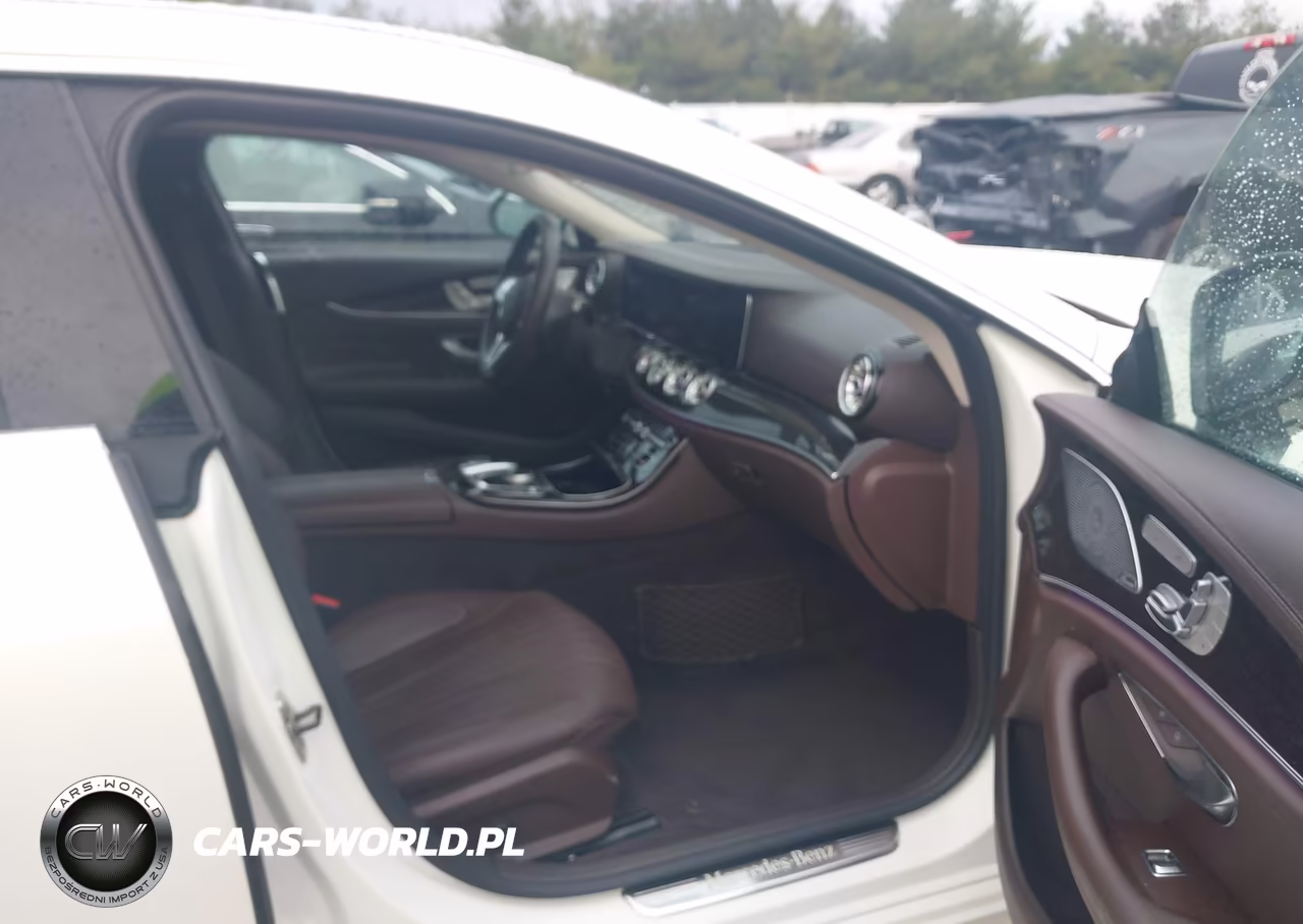 2019 Mercedes-Benz Cls 450 4Matic VIN:WDD2J5KB7KA038412 - 5