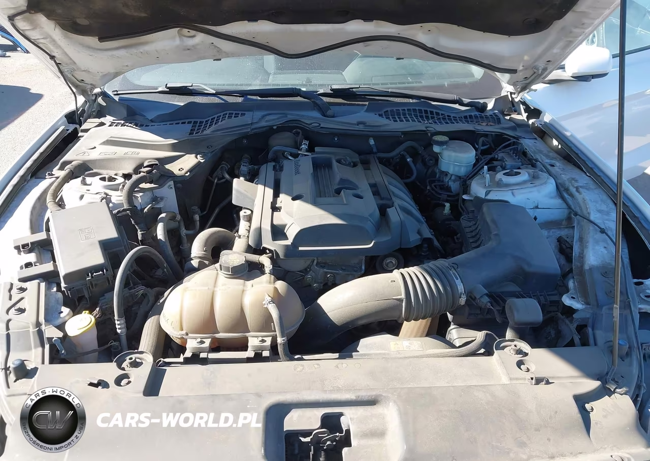 2016 Ford Mustang Ecoboost VIN:1FA6P8TH1G5256950 - 10