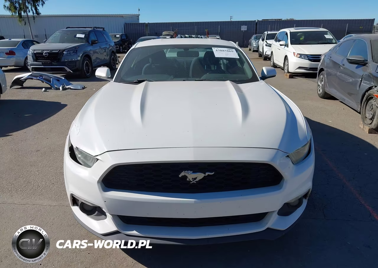 2016 Ford Mustang Ecoboost VIN:1FA6P8TH1G5256950 - 12
