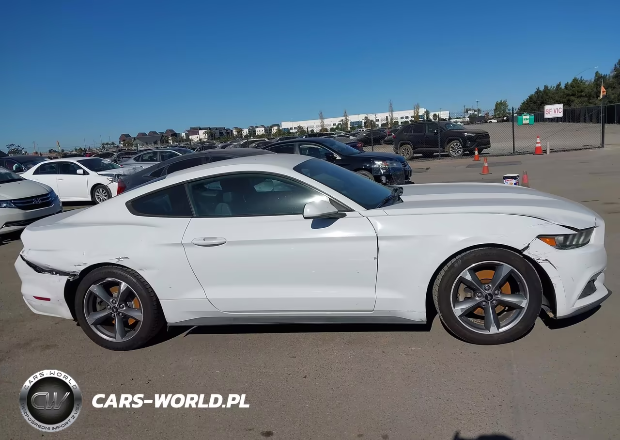 2016 Ford Mustang Ecoboost VIN:1FA6P8TH1G5256950 - 13