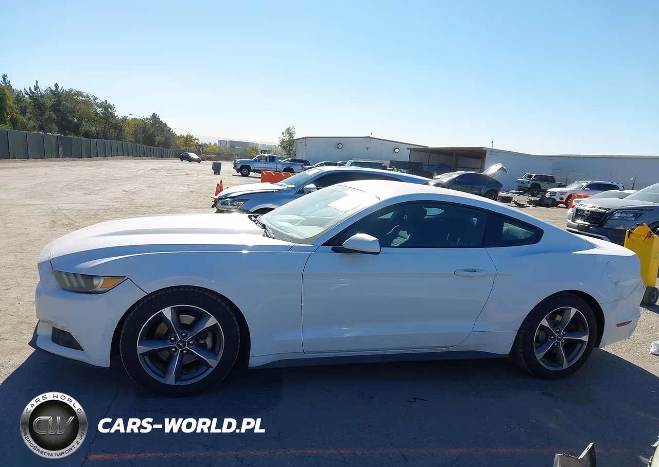 2016 Ford Mustang Ecoboost VIN:1FA6P8TH1G5256950 - 14