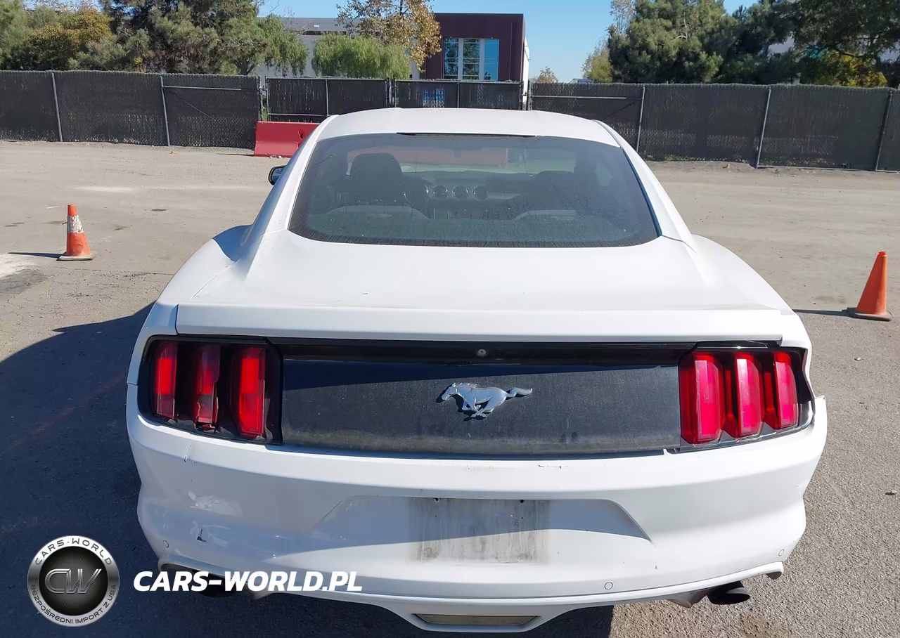 2016 Ford Mustang Ecoboost VIN:1FA6P8TH1G5256950 - 16