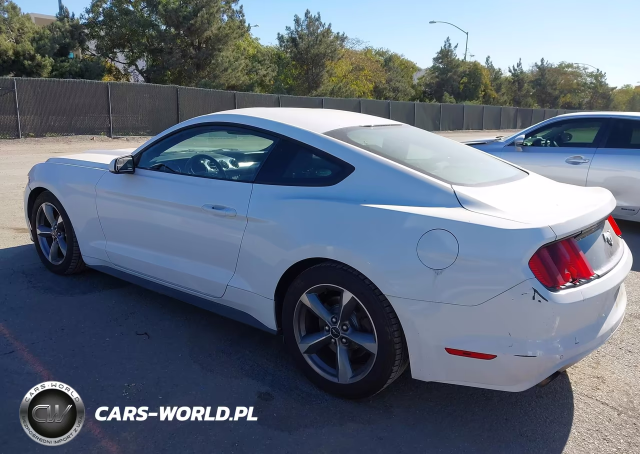 2016 Ford Mustang Ecoboost VIN:1FA6P8TH1G5256950 - 3