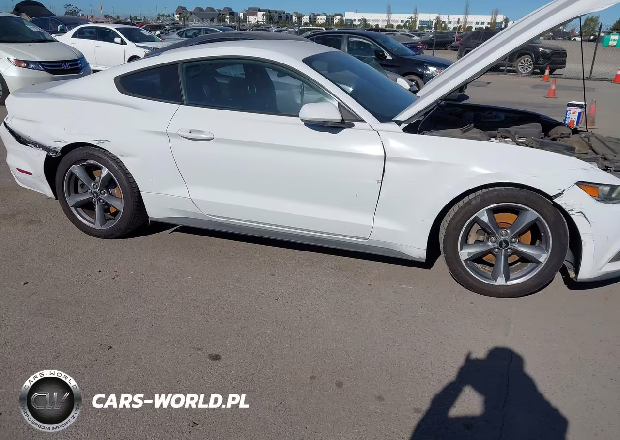 2016 Ford Mustang Ecoboost VIN:1FA6P8TH1G5256950 - 6