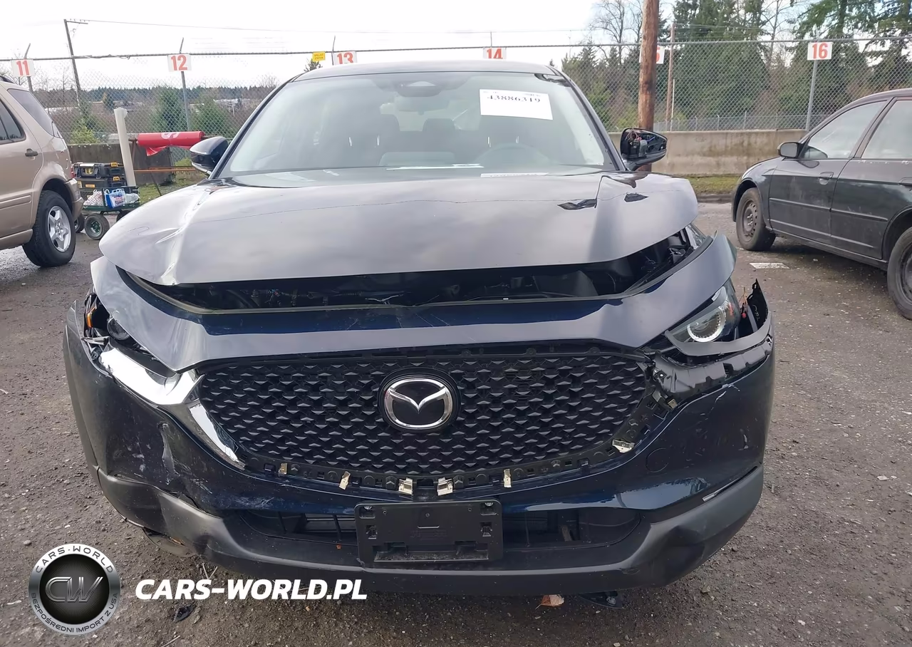 2025 Mazda Cx-30 2.5 S VIN:3MVDMBAM5SM794673 - 13