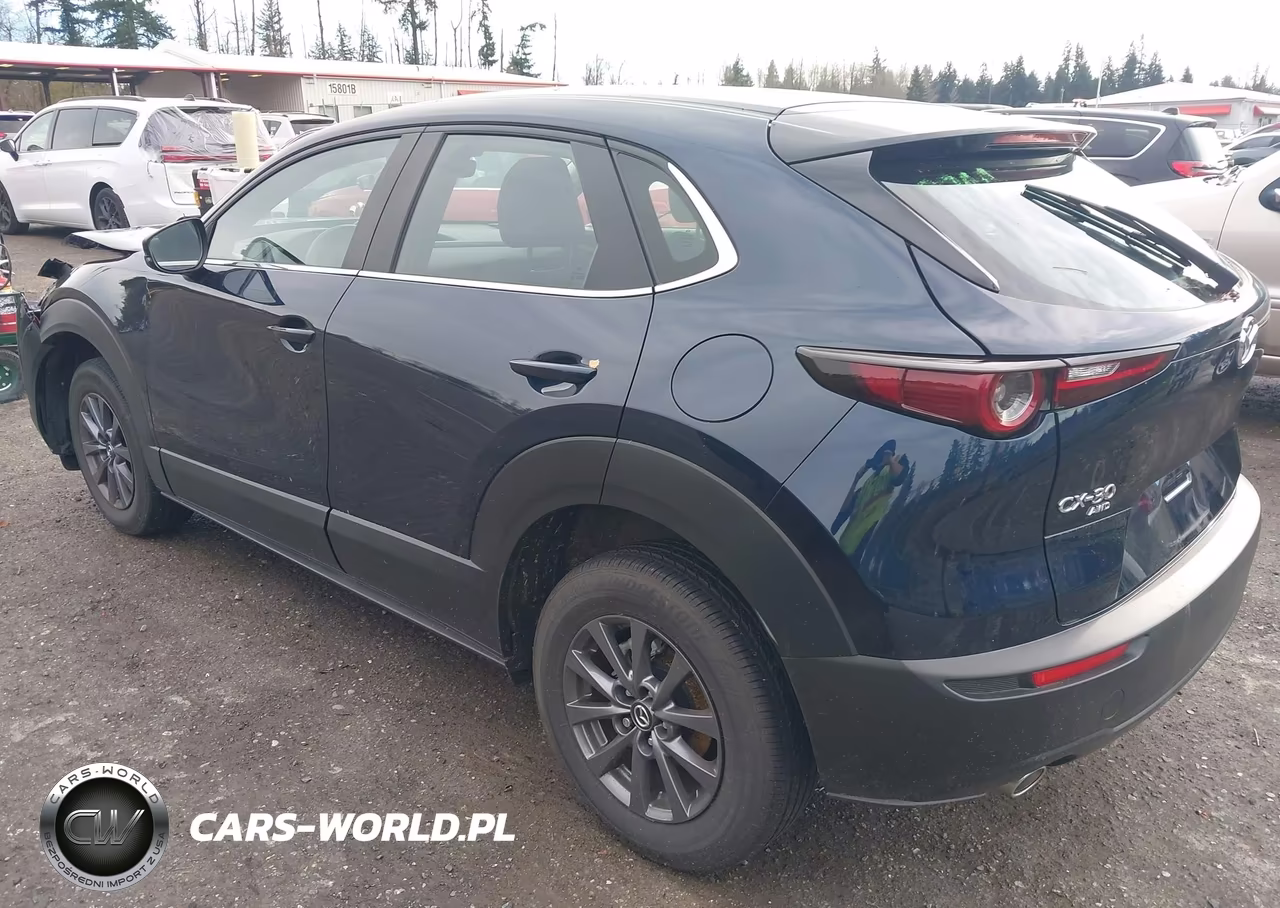 2025 Mazda Cx-30 2.5 S VIN:3MVDMBAM5SM794673 - 3