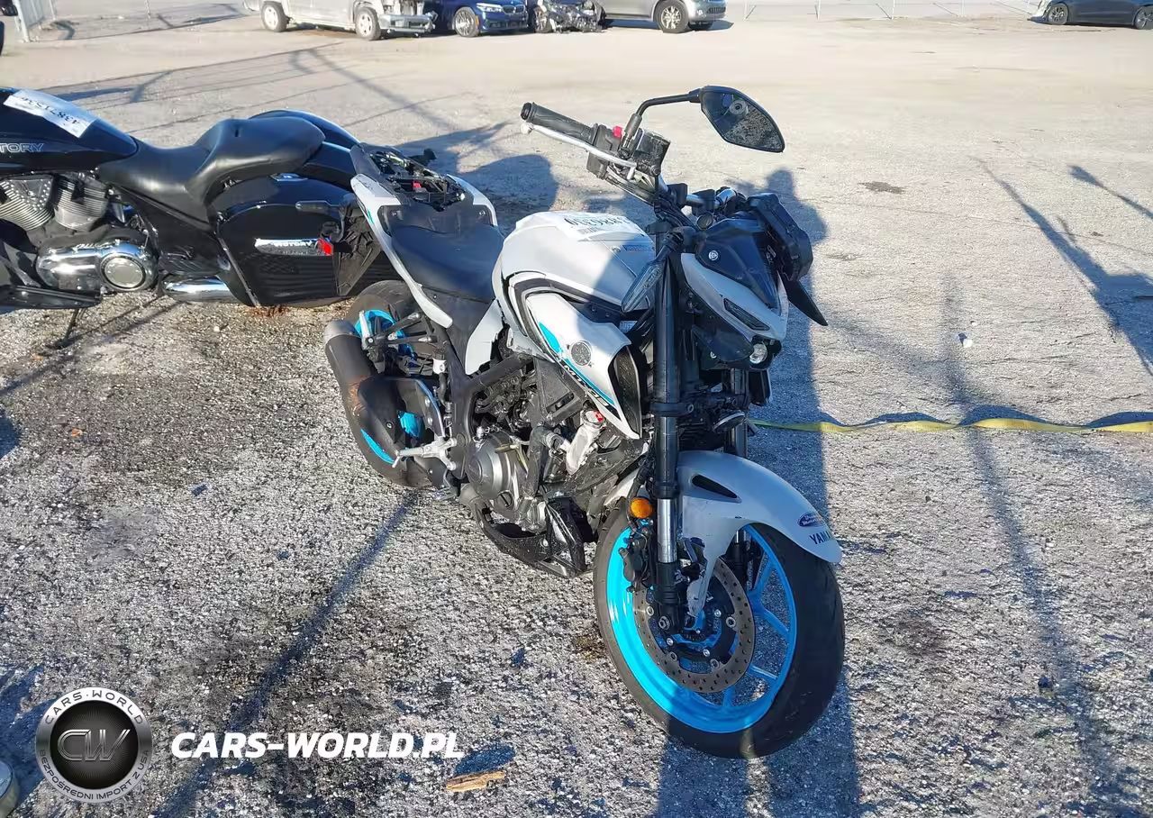 2025 Yamaha Mtn320 A