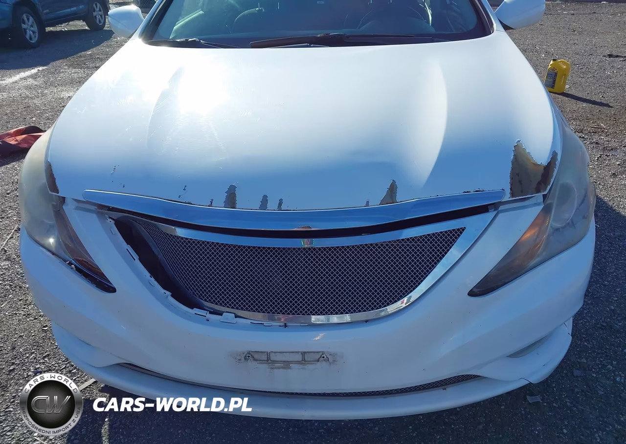 2013 Hyundai Sonata Se VIN:5NPEC4AC7DH720434 - 12