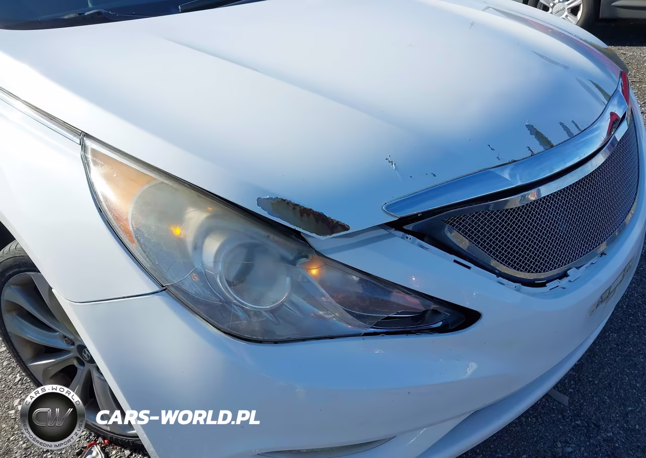 2013 Hyundai Sonata Se VIN:5NPEC4AC7DH720434 - 13