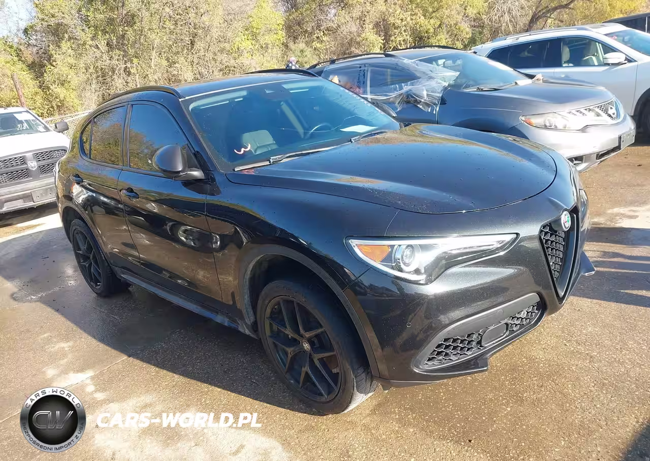 2020 Alfa Romeo Stelvio Rwd
