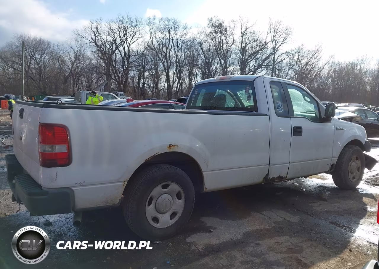 2006 Ford F-150 Stx-Xl-Xlt VIN:1FTRF12286NB63811 - 13