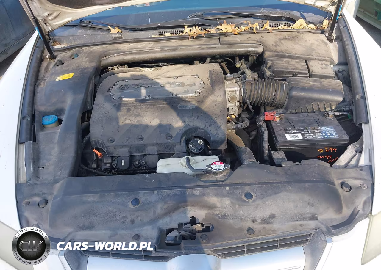 2004 Acura Tl VIN:19UUA66274A000668 - 10