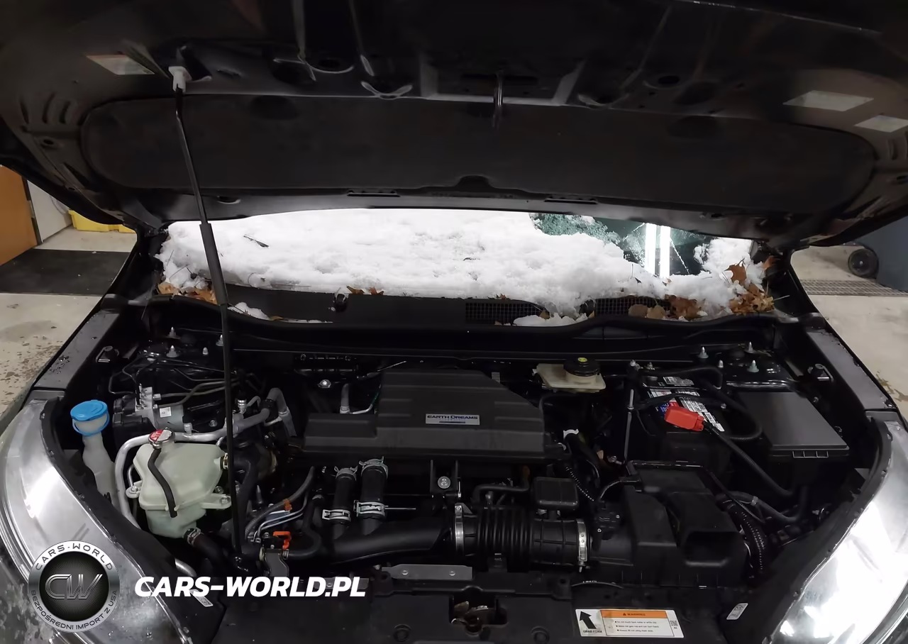 2019 Honda Cr-V Ex-L VIN:7FARW2H86KE044783 - 10