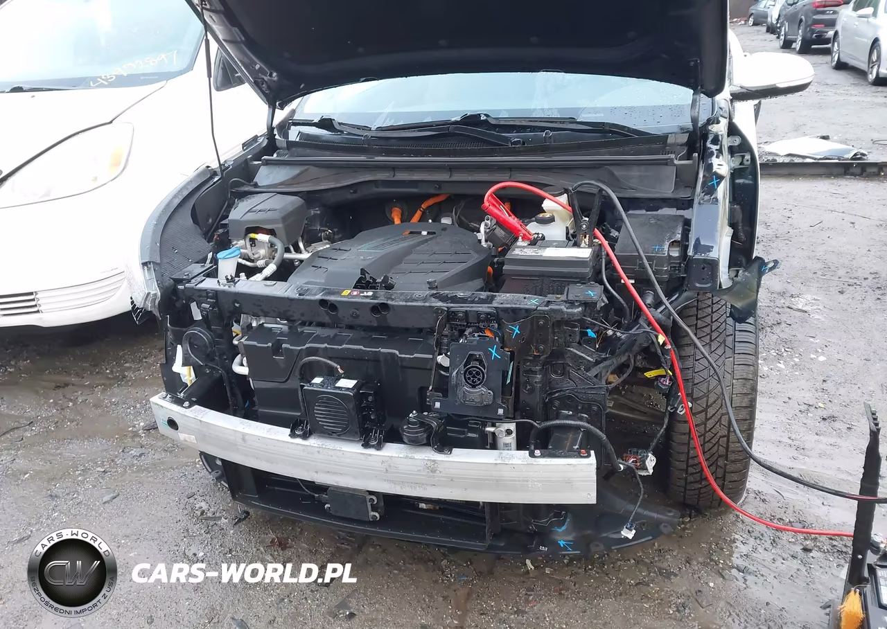 2020 Kia Niro Ev Ex Premium VIN:KNDCE3LGXL5040179 - 12