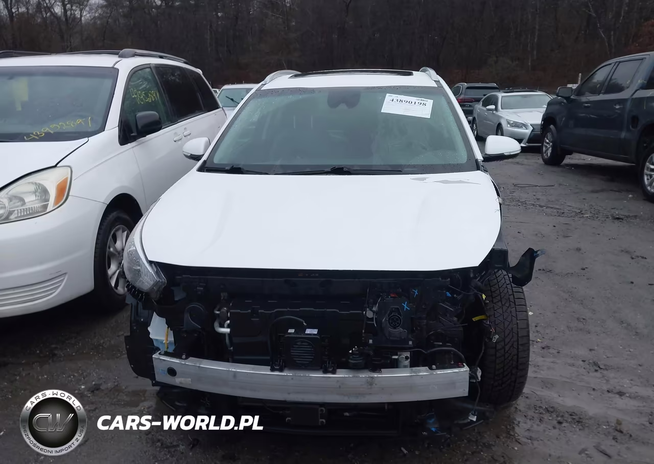 2020 Kia Niro Ev Ex Premium VIN:KNDCE3LGXL5040179 - 13