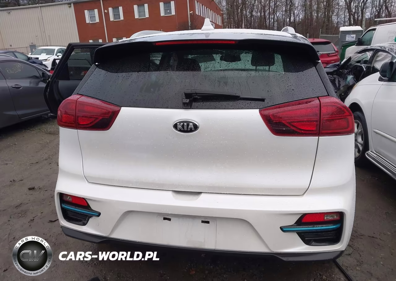 2020 Kia Niro Ev Ex Premium VIN:KNDCE3LGXL5040179 - 17