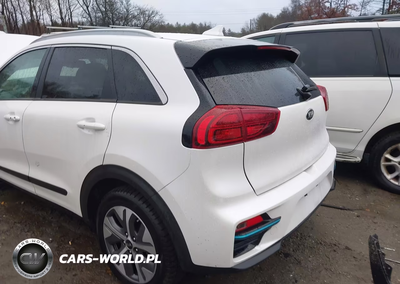 2020 Kia Niro Ev Ex Premium VIN:KNDCE3LGXL5040179 - 3