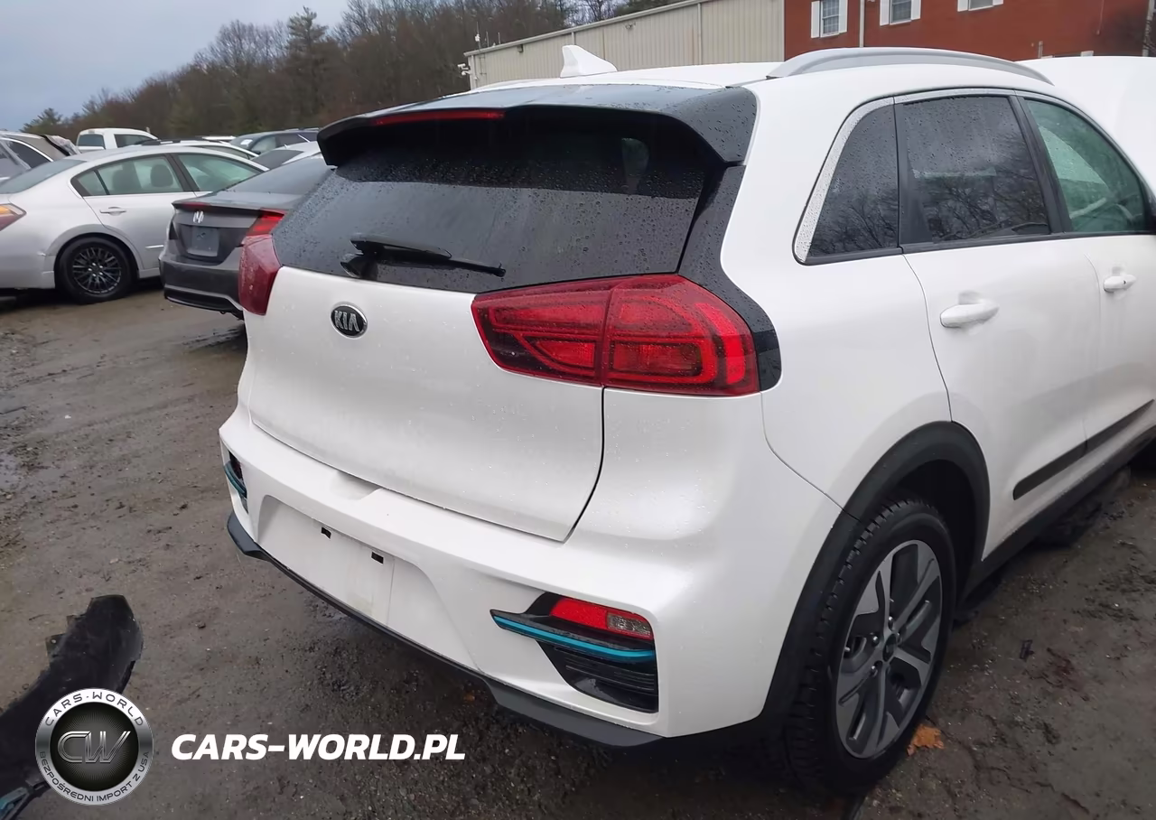 2020 Kia Niro Ev Ex Premium VIN:KNDCE3LGXL5040179 - 4