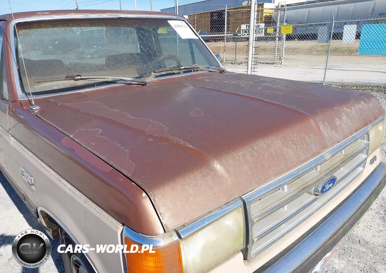 1987 Ford F150 VIN:1FTCF15N1HNB06221 - 6