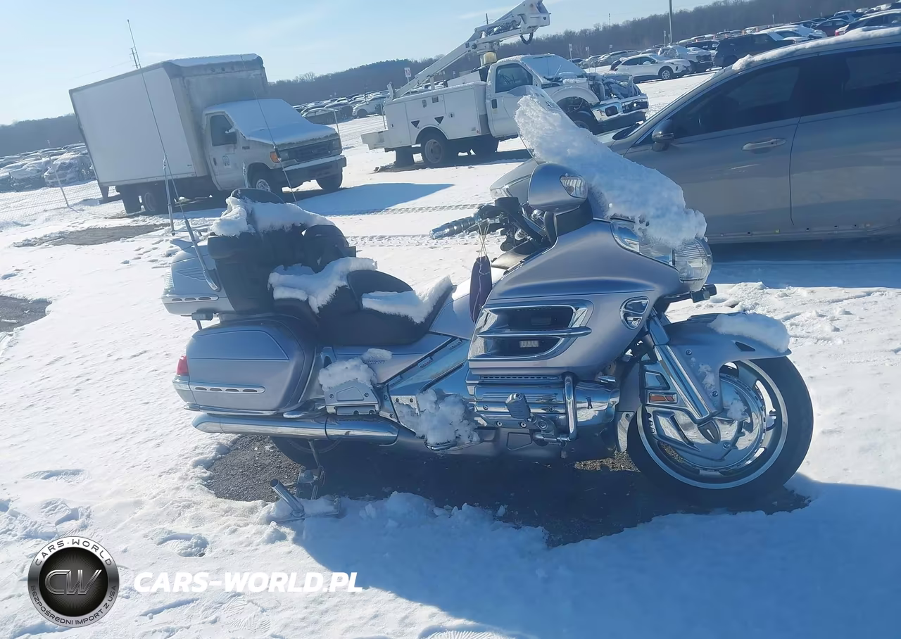 2009 Honda Gl1800 VIN:1HFSC47H29A802128 - 8