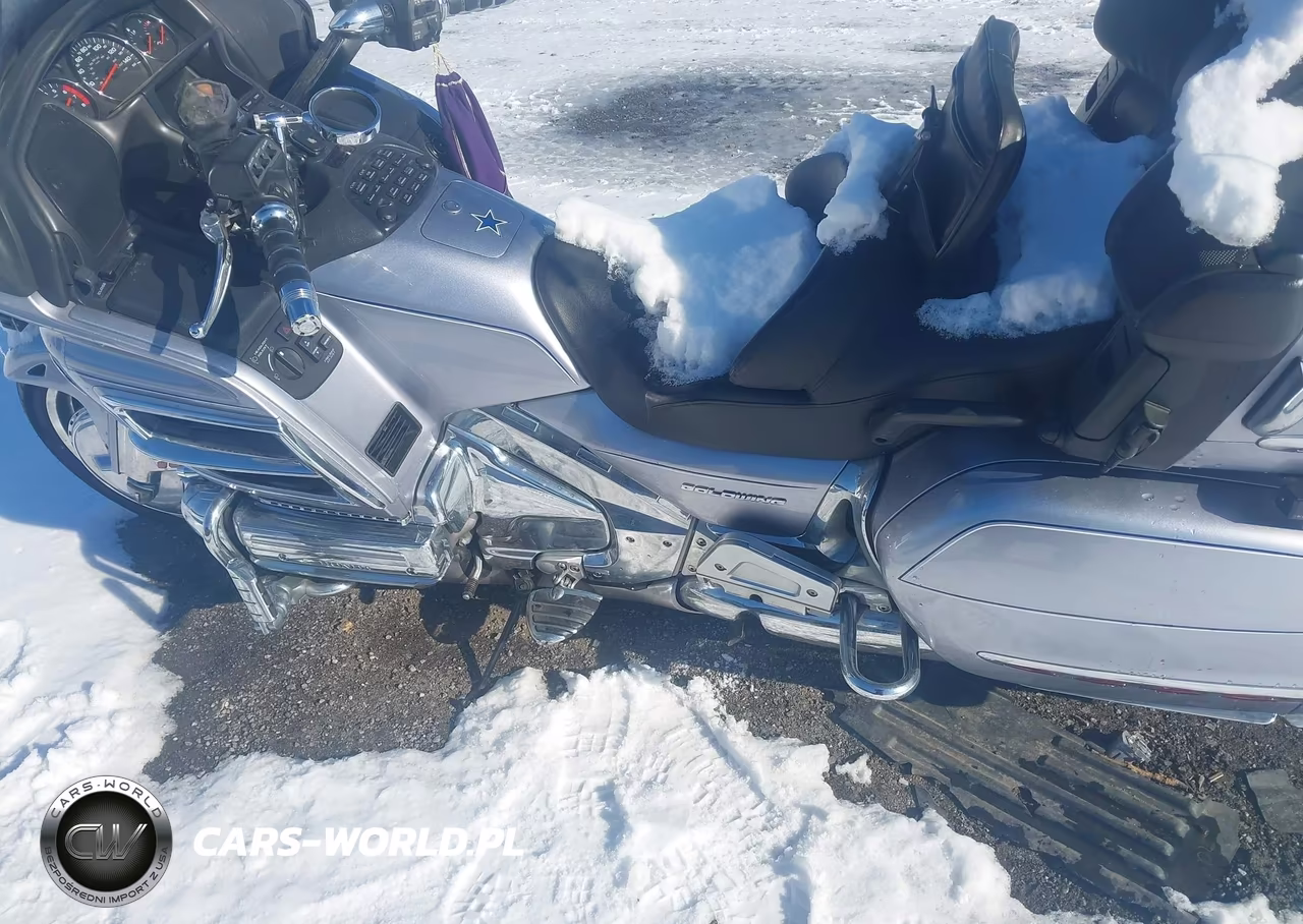 2009 Honda Gl1800 VIN:1HFSC47H29A802128 - 9
