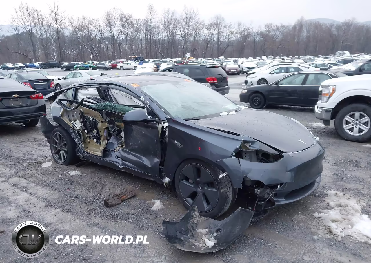 2023 Tesla Model 3 Rear-Wheel Drive