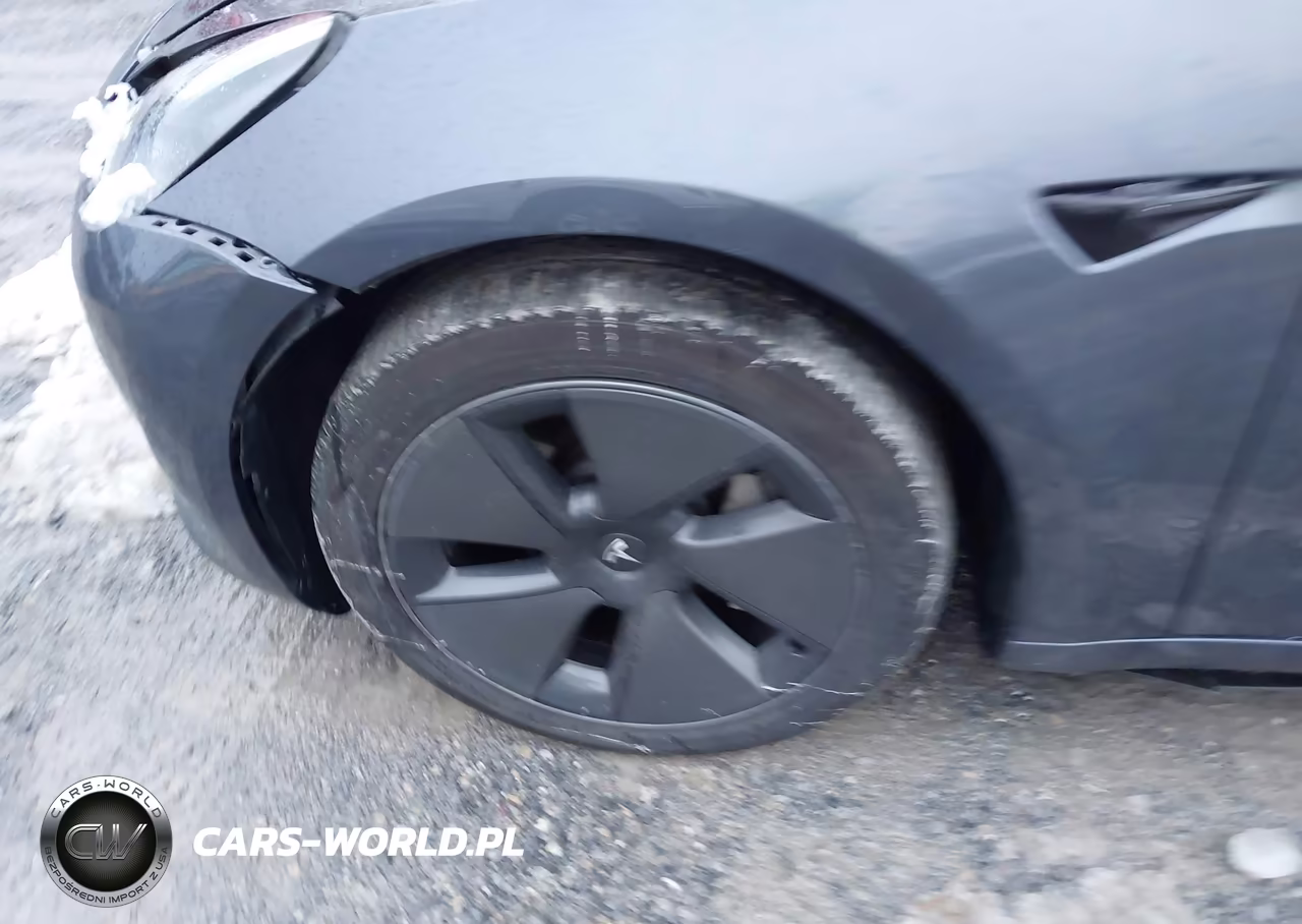 2023 Tesla Model 3 Rear-Wheel Drive VIN:5YJ3E1EA5PF570206 - 12