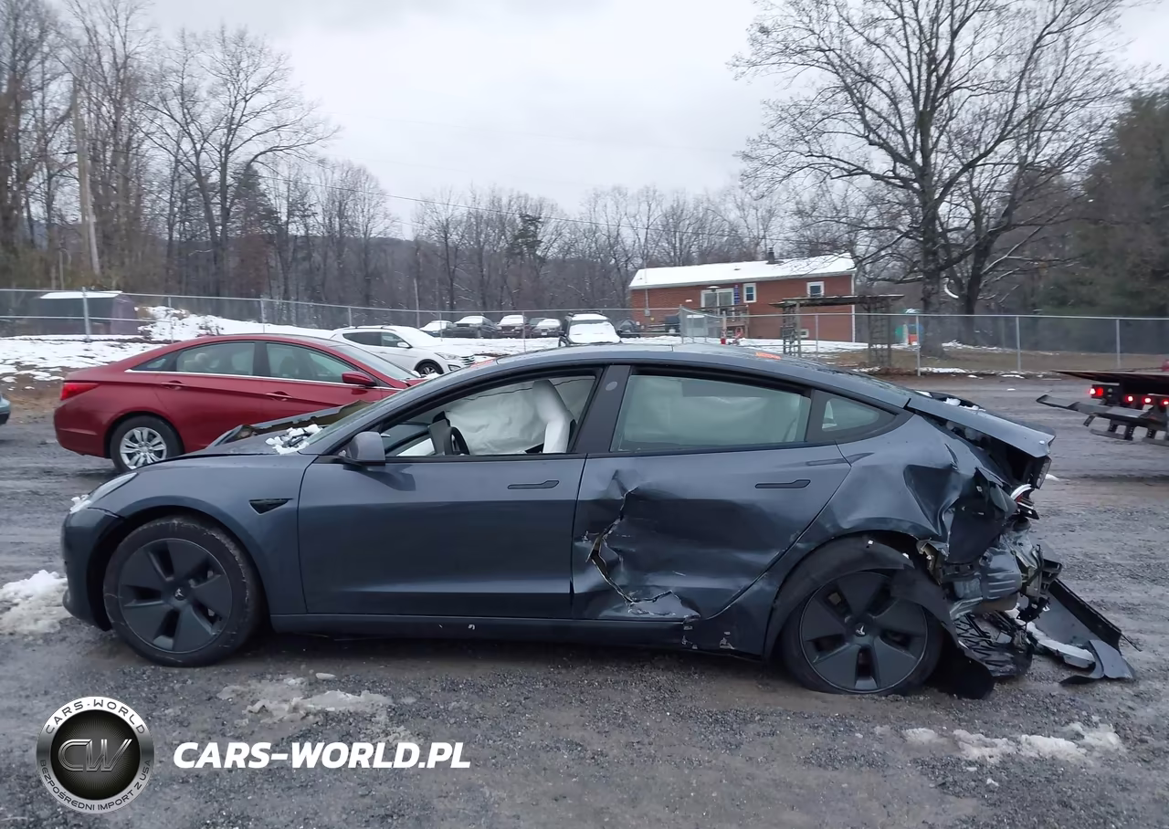 2023 Tesla Model 3 Rear-Wheel Drive VIN:5YJ3E1EA5PF570206 - 15