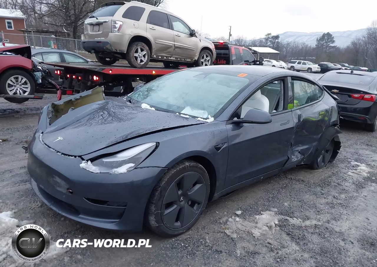 2023 Tesla Model 3 Rear-Wheel Drive VIN:5YJ3E1EA5PF570206 - 2
