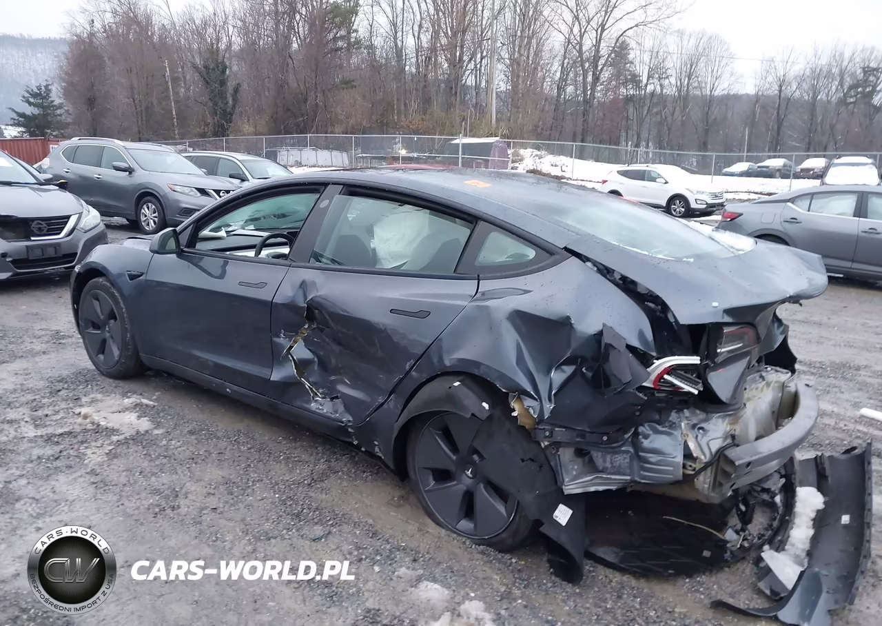 2023 Tesla Model 3 Rear-Wheel Drive VIN:5YJ3E1EA5PF570206 - 3