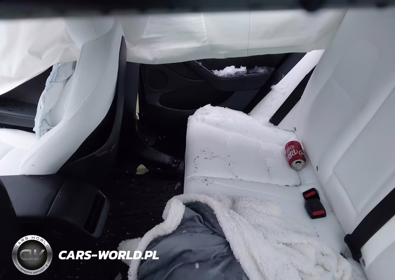 2023 Tesla Model 3 Rear-Wheel Drive VIN:5YJ3E1EA5PF570206 - 8