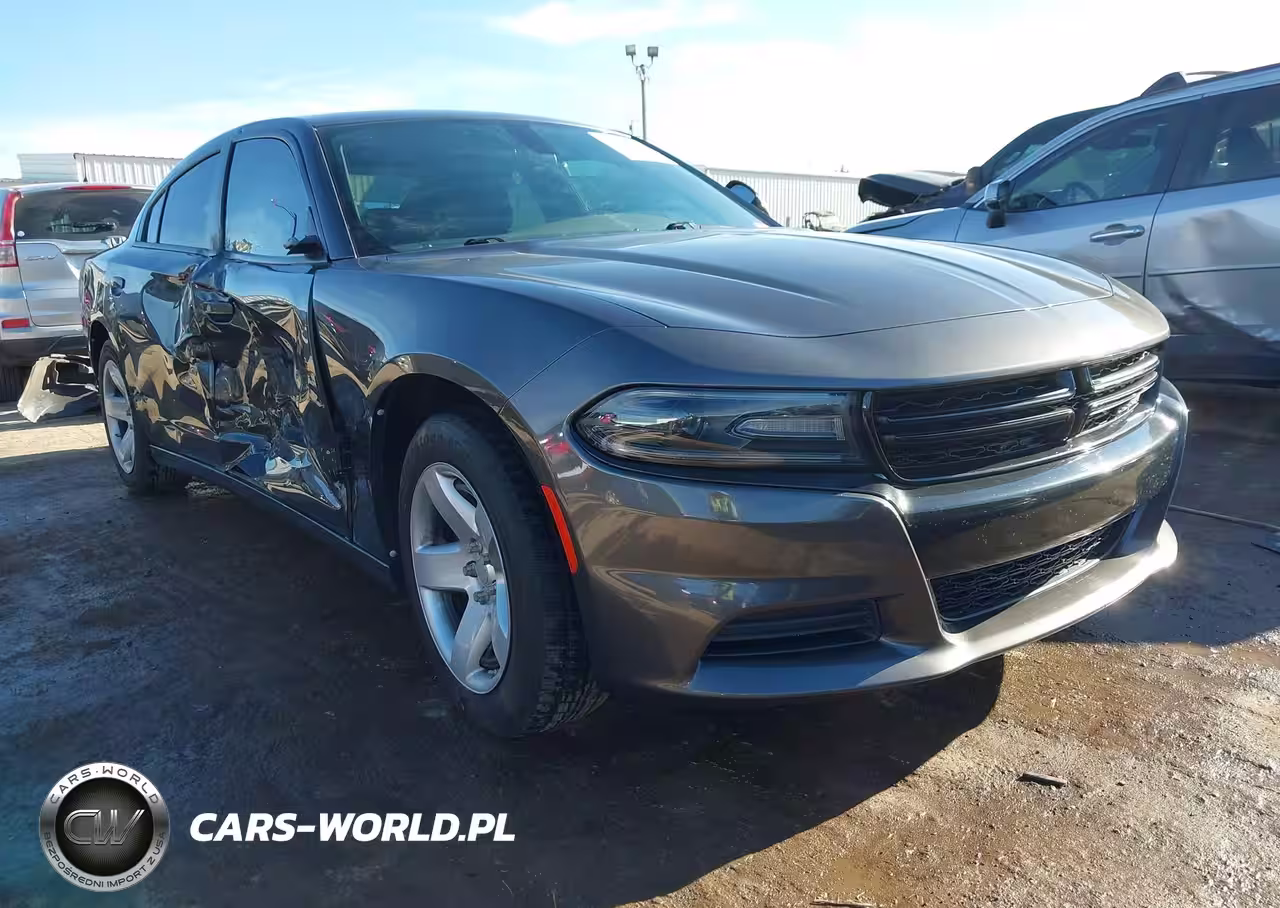 2020 Dodge Charger Police Rwd