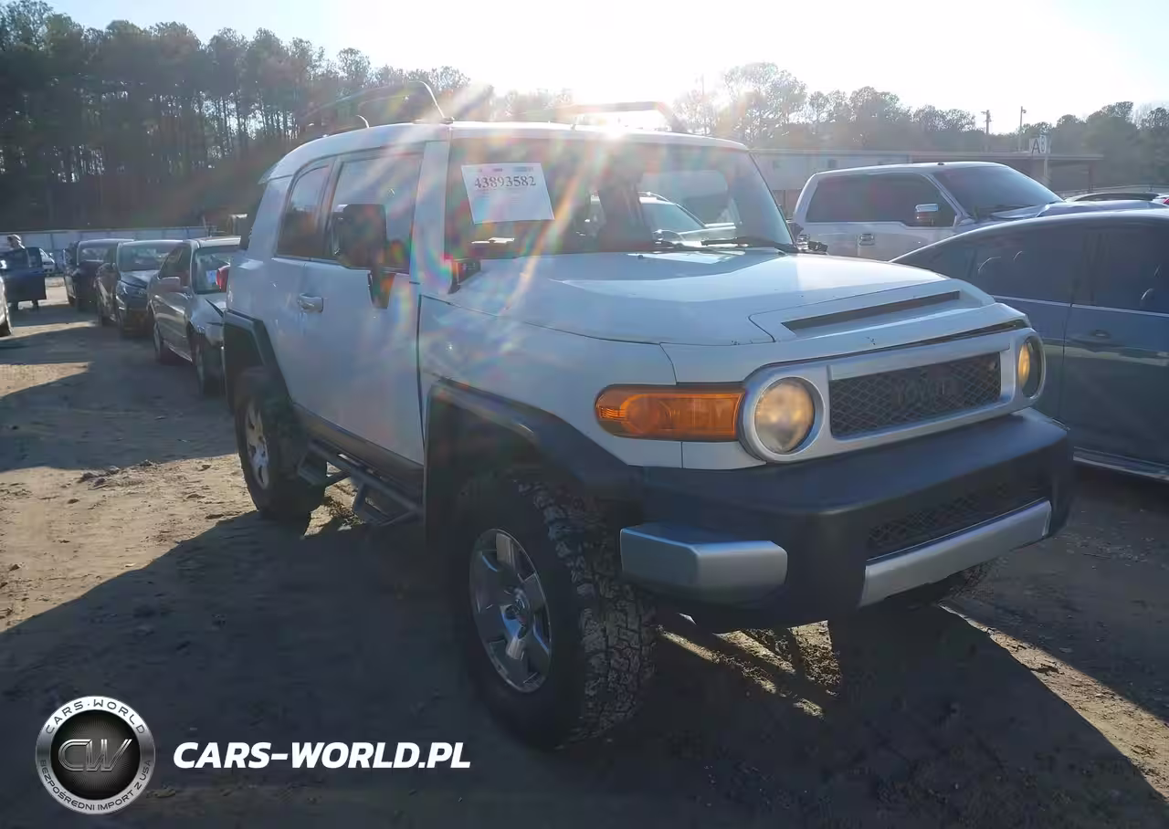 2010 Toyota Fj Cruiser