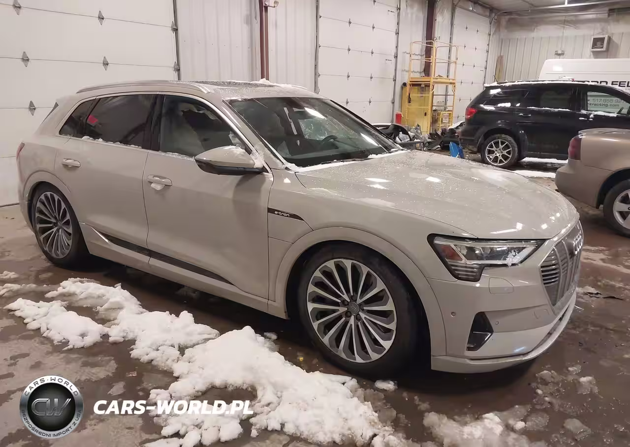 2019 Audi E-Tron Premium Plus
