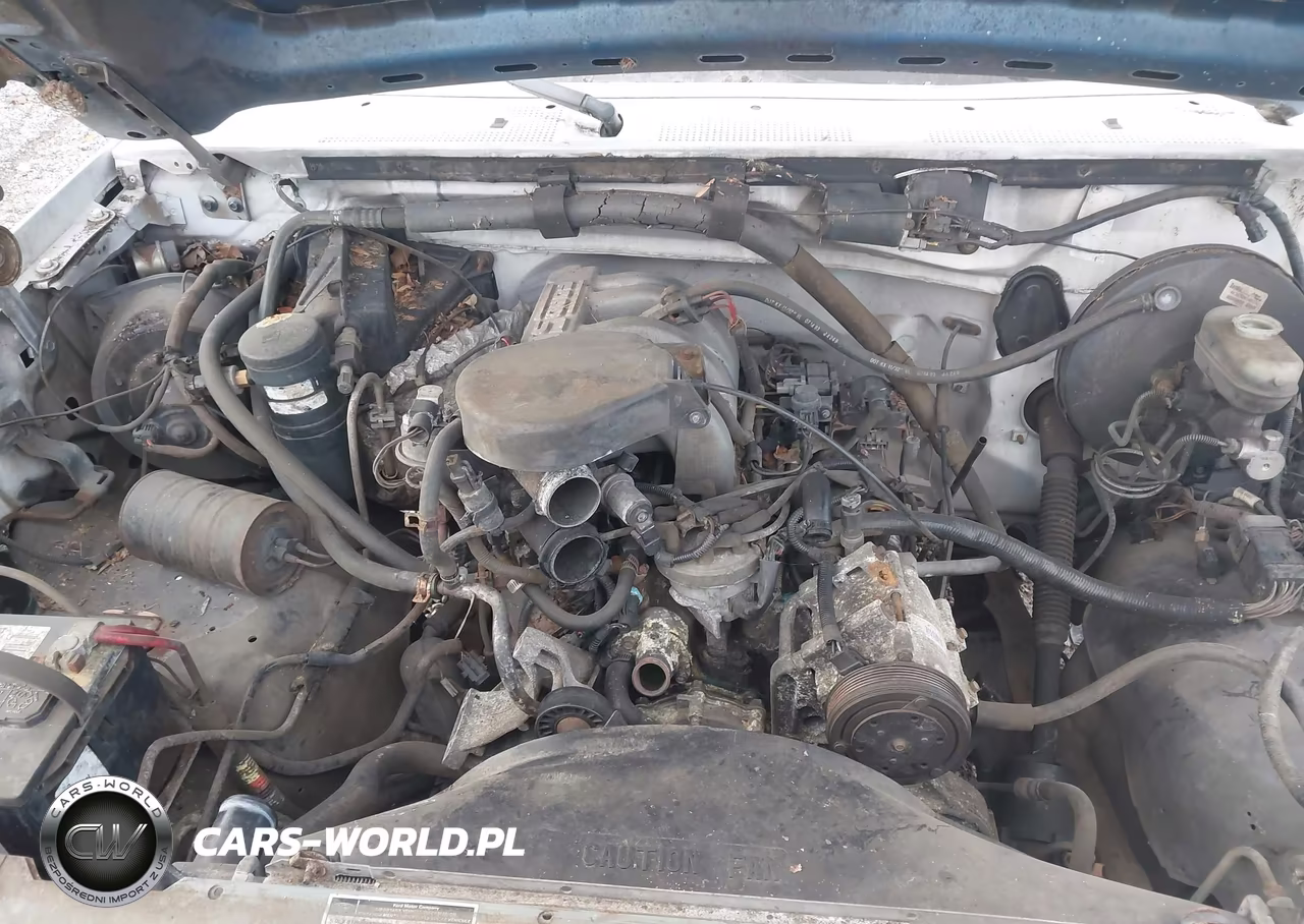 1994 Ford F150 VIN:2FTEF15NBRCA13714 - 10