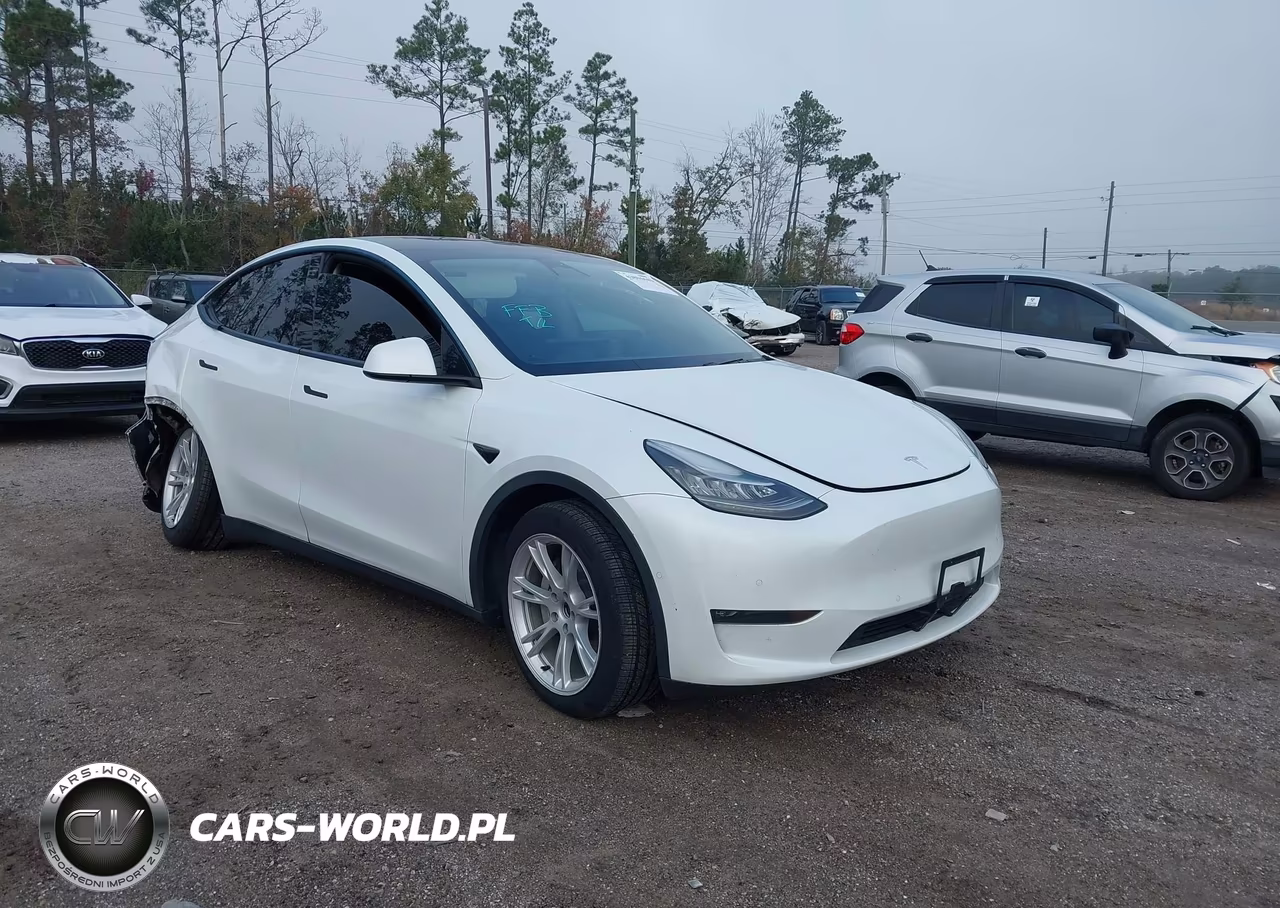 2020 Tesla Model Y Long Range Dual Motor All-Wheel Drive