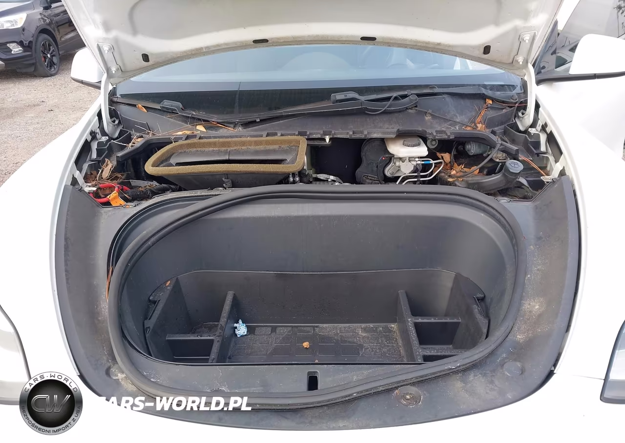 2020 Tesla Model Y Long Range Dual Motor All-Wheel Drive VIN:5YJYGDEE6LF052667 - 10