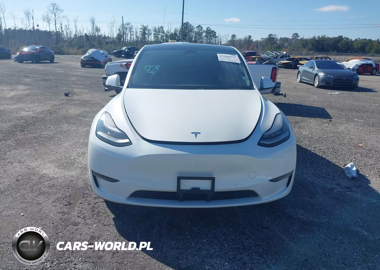 2020 Tesla Model Y Long Range Dual Motor All-Wheel Drive VIN:5YJYGDEE6LF052667 - 12