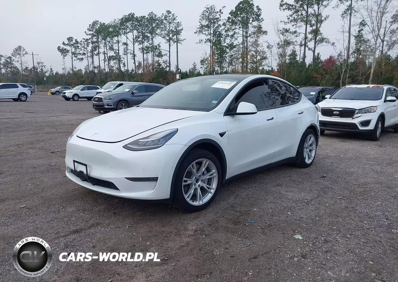 2020 Tesla Model Y Long Range Dual Motor All-Wheel Drive VIN:5YJYGDEE6LF052667 - 2