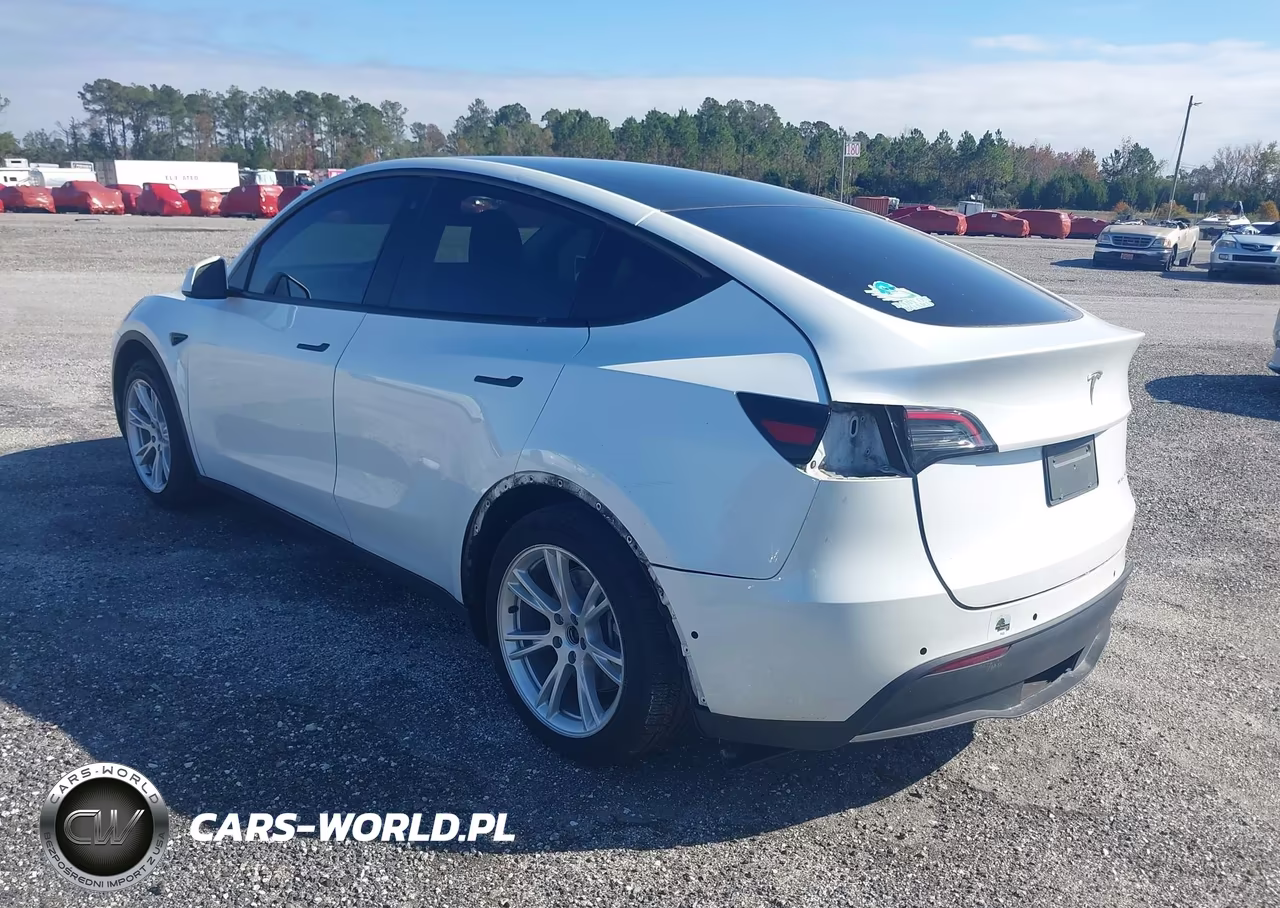 2020 Tesla Model Y Long Range Dual Motor All-Wheel Drive VIN:5YJYGDEE6LF052667 - 3